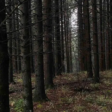 Βίλα Tuscany 250m2, Private Land 3000m2 *